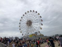 -奉贤海滩