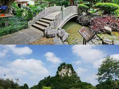 -柳州市动物园