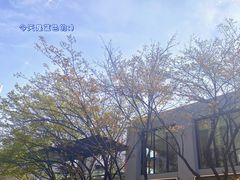 -茶颜悦色(花园道店)