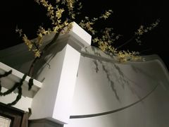 -春天来了(印象新天地店)