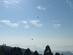-莫干山风景区