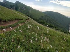 -灵山