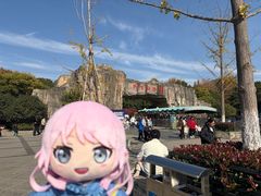 -合肥野生动物园