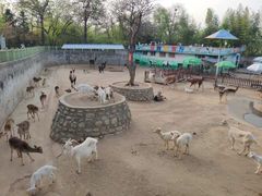 -西安秦岭野生动物园