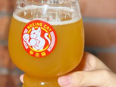-Boxing Cat Brewery拳击猫精酿啤酒馆(永福店)
