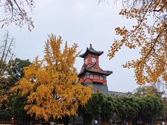 -四川大学(华西校区)