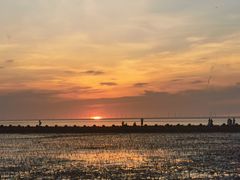 -南汇嘴观海公园