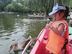 -西安秦岭野生动物园