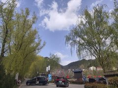 -王顺山国家森林公园