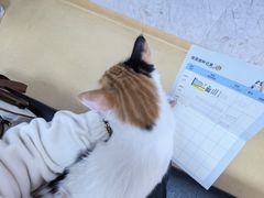 -瑞派天宁宠物医院·猫科·异宠中心