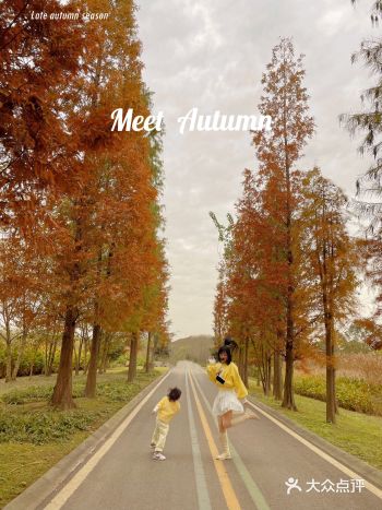 成都小众周边游｜这里的秋天是红色的