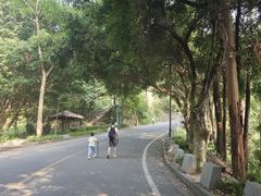 -大雁山风景区