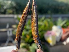 -吴淞炮台湾湿地森林公园烧烤区