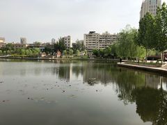 -雁滩公园