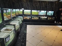 -德天肥牛海鲜火锅(城西银泰店)