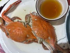 -老家黄墩小错鸡·活海鲜