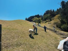 -神户市立六甲山牧场