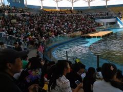 -北戴河圣蓝海洋公园