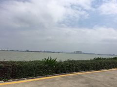 -海鸥岛