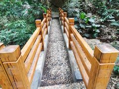 -滴水岩森林公园