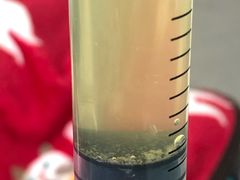 -北京赛佳动物医院