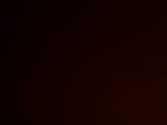 -济南喜来登酒店