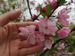 -上海共青森林公园