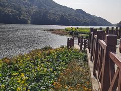 -广州市石门国家森林公园