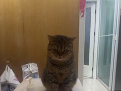 -纳吉亚猫专科动物医院博雅分院
