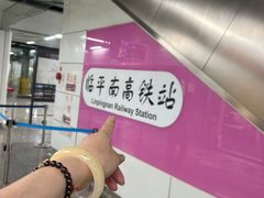 -临平南高铁站(地铁站)