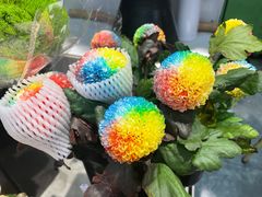 -大自然花鸟鱼虫市场