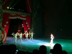 -珠海横琴长隆《卡卡虎奇遇记》