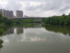 -洋湖国家湿地公园