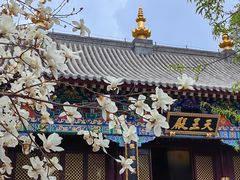 -护国法轮寺
