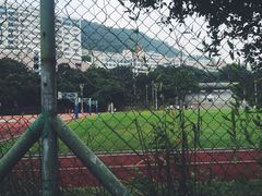 -大埔公路-马料水段香港中文大学(公交站)