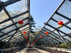 -东莞市虎英郊野公园