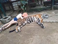 -清迈夜间动物园