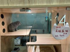 -BABIT巴比特宠物(MOMOPARK店)