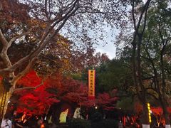 -杭州黄龙洞