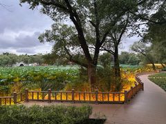 -长春市南湖公园