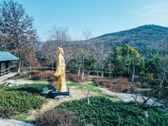 -南京老山国家森林公园