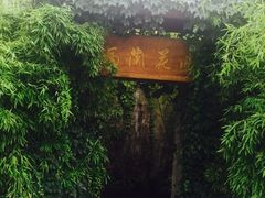 -馬蘭花開(车站大道店)
