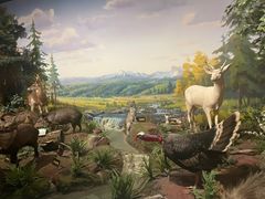 -陕西自然博物馆