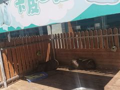 -廊坊固安福朋喜来登酒店