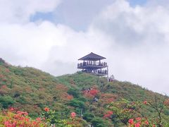 -大围山国家森林公园