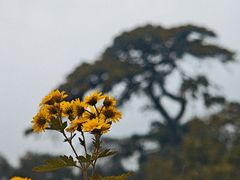 -沈阳市东陵公园