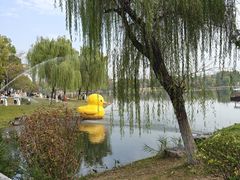-武汉园博园(武汉自然博物馆)
