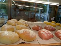 -奈雪的茶(大梅沙8号仓店)