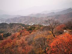 -京北渔家傲