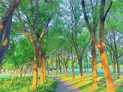 -蠡湖大桥公园